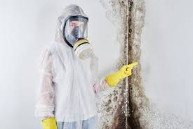 Middletown, NY Mold Removal Company